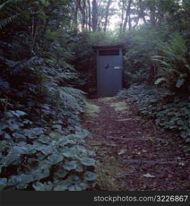 Men&acute;s Outhouse In The Forest