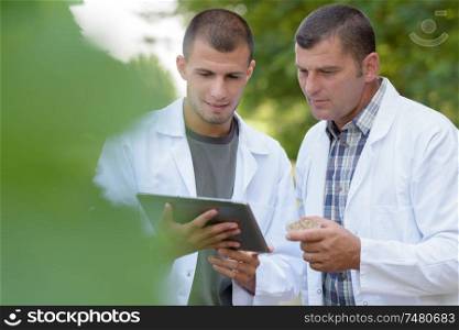 men in a vineyard looking at a digital tablet