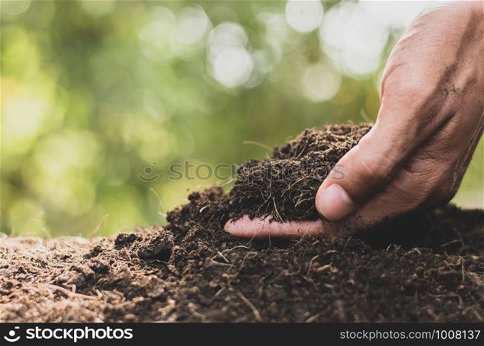 Men's hands are picking up soil to plant trees.