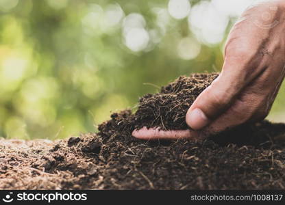 Men's hands are picking up soil to plant trees.
