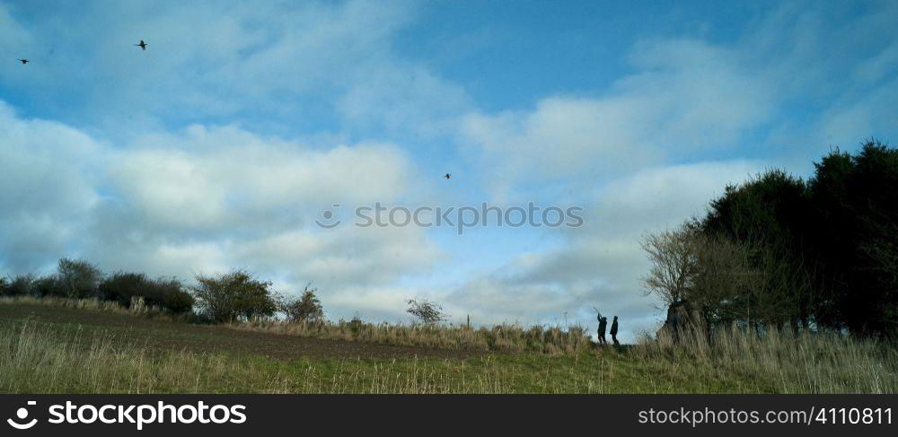 Men shooting grouse, Berwickshire, Scotland