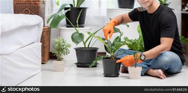 Men wearing orange gloves and planting trees indoors.