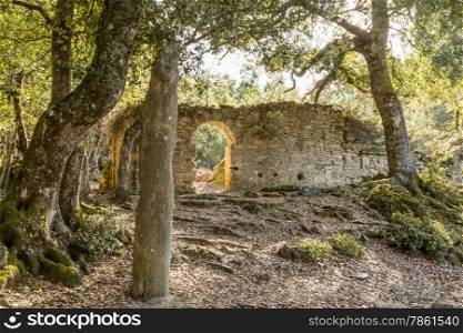 Menhir de Petra Frigiata and ancient convent near Corsoli in central Corsica