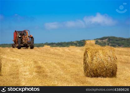 Menorca combine tractor wheat with round bales in golden field
