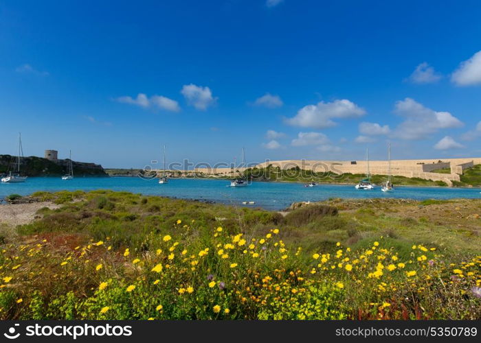 Menorca La Mola in Mahon with sailboats anchored in spring meadow at Balearic islands