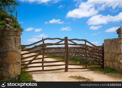 Menorca traditional olive tree wooden fence gate in Balearic islands