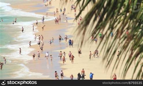 Menschen beim baden am Meer und Sandstrand. Palme im Bild.