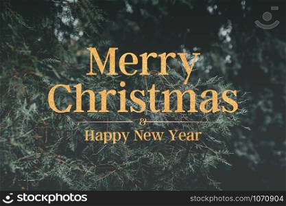 merry christmas and happy new year typo glitter text on green pine tree.holiday celebration greeting card