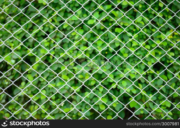 mesh fence