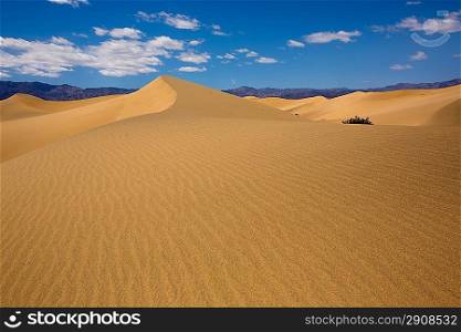 Mesquite Dunes desert in Death Valley National Park California