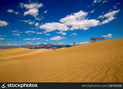 Mesquite Dunes desert in Death Valley National Park California