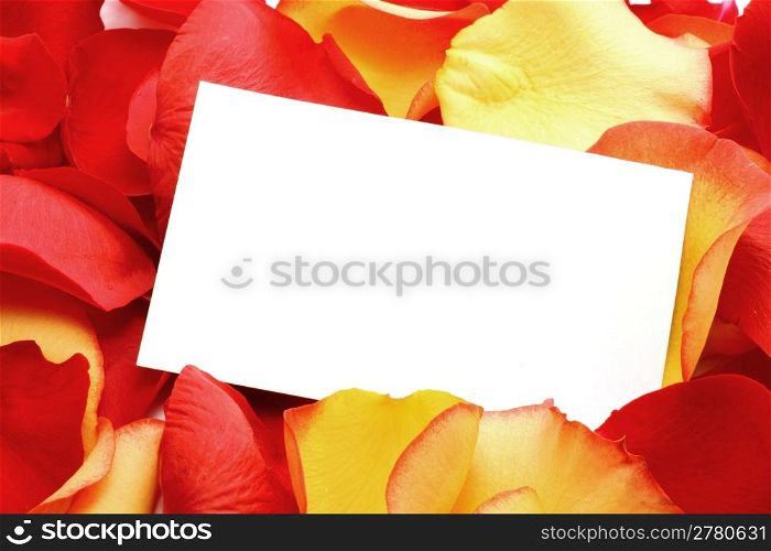 Message on a petals. Background