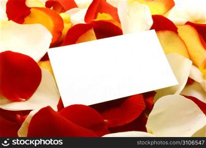 Message on a petals. Background