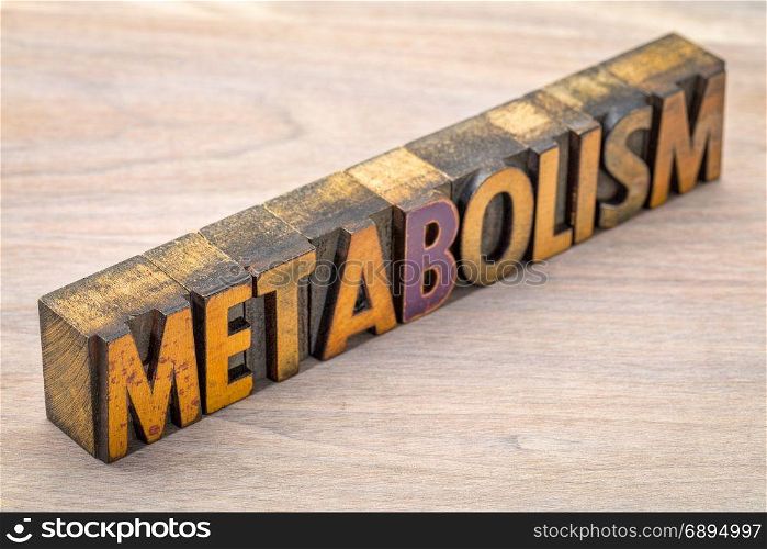 metabolism - word abstract in vintage letterpress wood type printing blocks