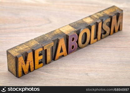 metabolism - word abstract in vintage letterpress wood type printing blocks