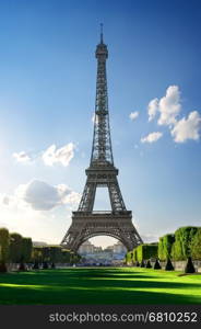 Metal Eiffel Tower and Champs de Mars in Paris, France