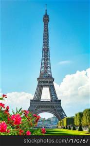 Metal Eiffel Tower and Champs de Mars in Paris, France. Spring in Paris