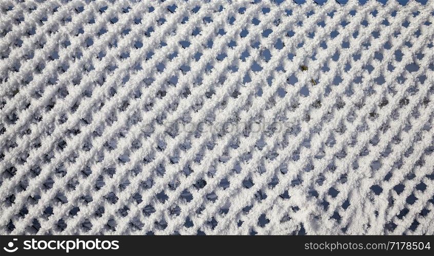 metal fence mesh covered with snow, ice and frost during the winter sunny day. metal fence with snow