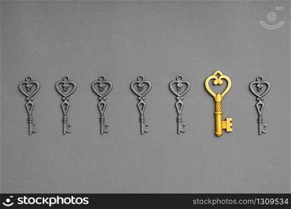Metal key for online successful business concept