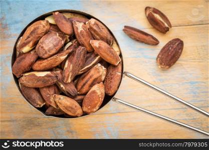 metal measuring scoop of roasted pili nuts against wood background