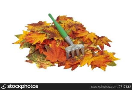 Metal rake on a pile of colorful fall leaves - path included