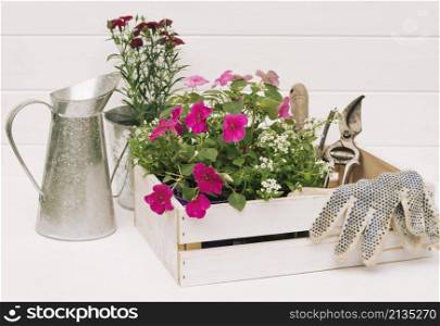metallic pitcher near blooms garden equipment box near wall