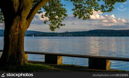 Mettnau Radolfzell on Lake Constance lake shore