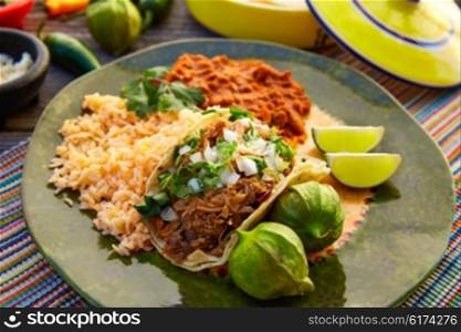 Mexican carnitas tacos with salsa and Mexico food ingredients