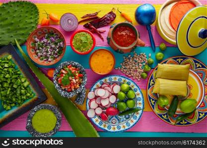 Mexican food mix with sauces nopal and tamale agave guacamole