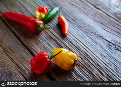 Mexican hot chili peppers colorful mix habanero poblano serrano jalapeno sweet on wood