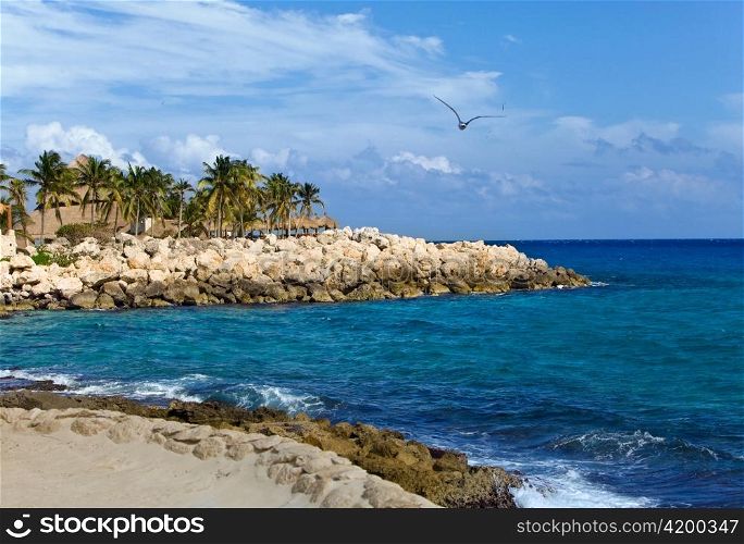 Mexico, park of Shkaret. Rock with palm trees on Oceanside