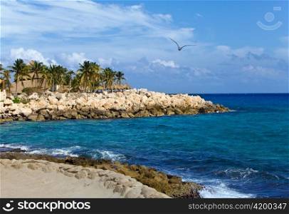 Mexico, park of Shkaret. Rock with palm trees on Oceanside