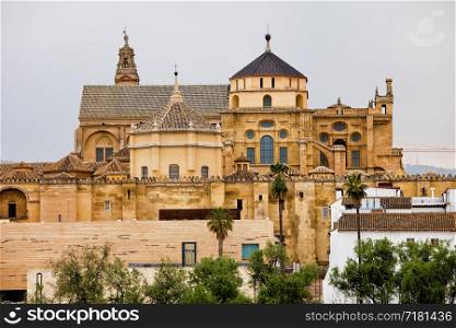 Mezquita Cathedral (The Great Mosque) in Cordoba, Spain, Andalusia region.