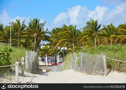Miami Beach entrance with palm trees in Florida USA