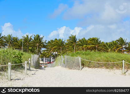 Miami Beach entrance with palm trees in Florida USA