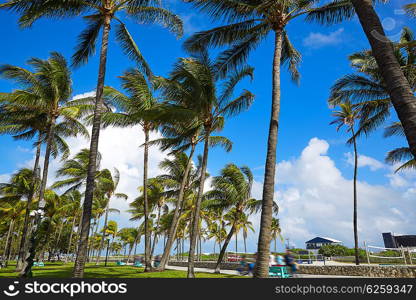 Miami Beach Ocean boulevard Art Deco district in florida USA Palm trees