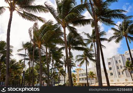 Miami Beach Ocean boulevard Art Deco district in florida USA Palm trees