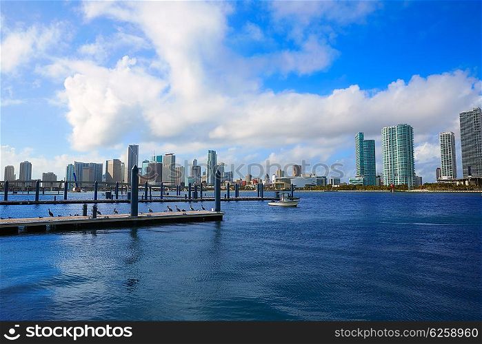 Miami downtown skyline in Florida USA sunny day