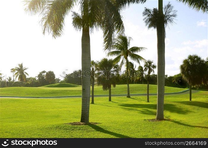 Miami Key Biscayne Golf tropical green grass field palm trees