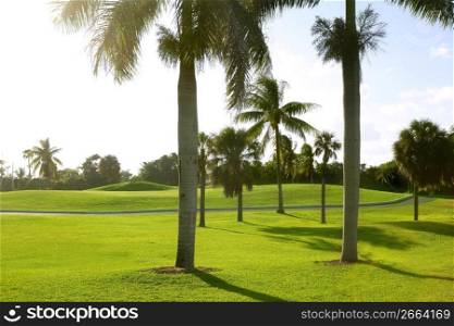 Miami Key Biscayne Golf tropical green grass field palm trees