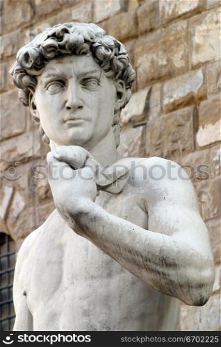 Michelangelo&acute;s David, Florence Italy.