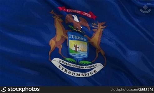 Michigan Bundesstaat Flagge Endlosschleife