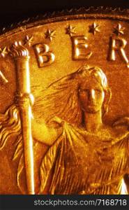 Micro Photo of a Gold Coin