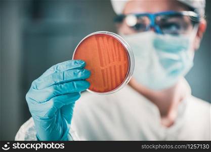 Microbiologist inspecting petri dish, observing bacteria growth