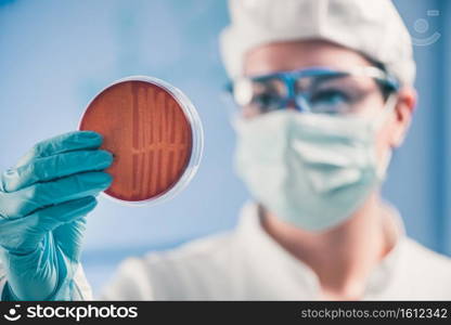 Microbiologist inspecting petri dish, observing bacteria growth