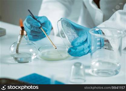 Microbiology, technician working  in laboratory 