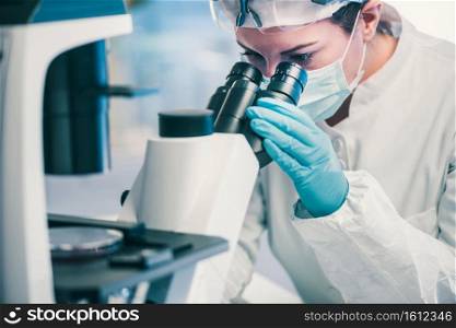 Microbiology, technician working with bacteria strains