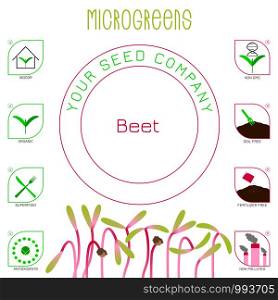Microgreens Beet. Seed packaging design. Icons - indoor, organic, superfood, antioxidants, non gmo, soil free, fertilizer free, non polluted. Microgreens Beet. Seed packaging design, text, icons