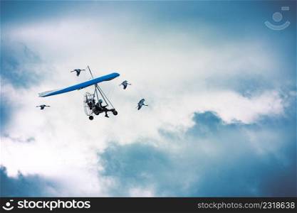 Microlight flying across a blue cloudy sky and surrounded by cranes. Microlight flying among the cranes