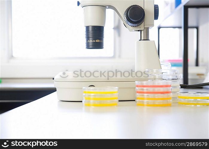 Microscope and petri dishes